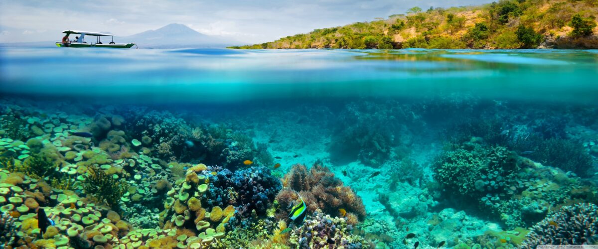 From Dive Instructor to SaaS Founder: Eliana Jordan’s No-Tech Success Story
