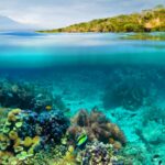 Split underwater and above-water photo symbolizing Eliana Jordan's journey from dive instructor to SaaS founder