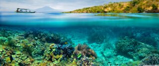 From Dive Instructor to SaaS Founder: Eliana Jordan’s No-Tech Success Story