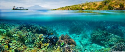 From Dive Instructor to SaaS Founder: Eliana Jordan’s No-Tech Success Story