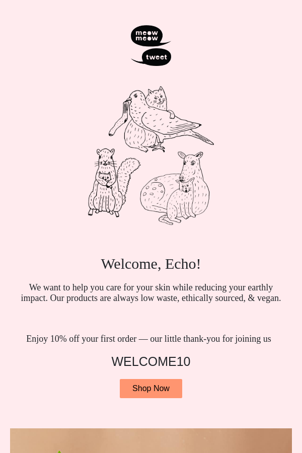 Meow Meow Tweet brand welcome email example showing a playful promo code and brand mascot.